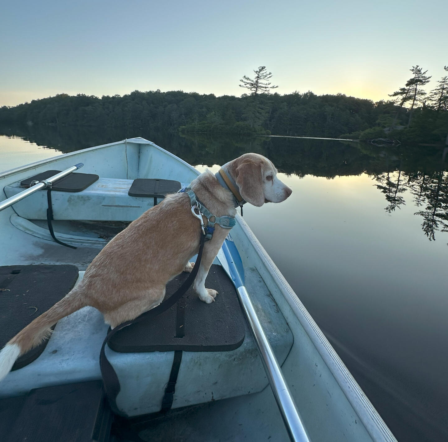 Faye on a boat